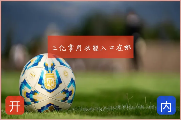 三亿常用功能入口在哪